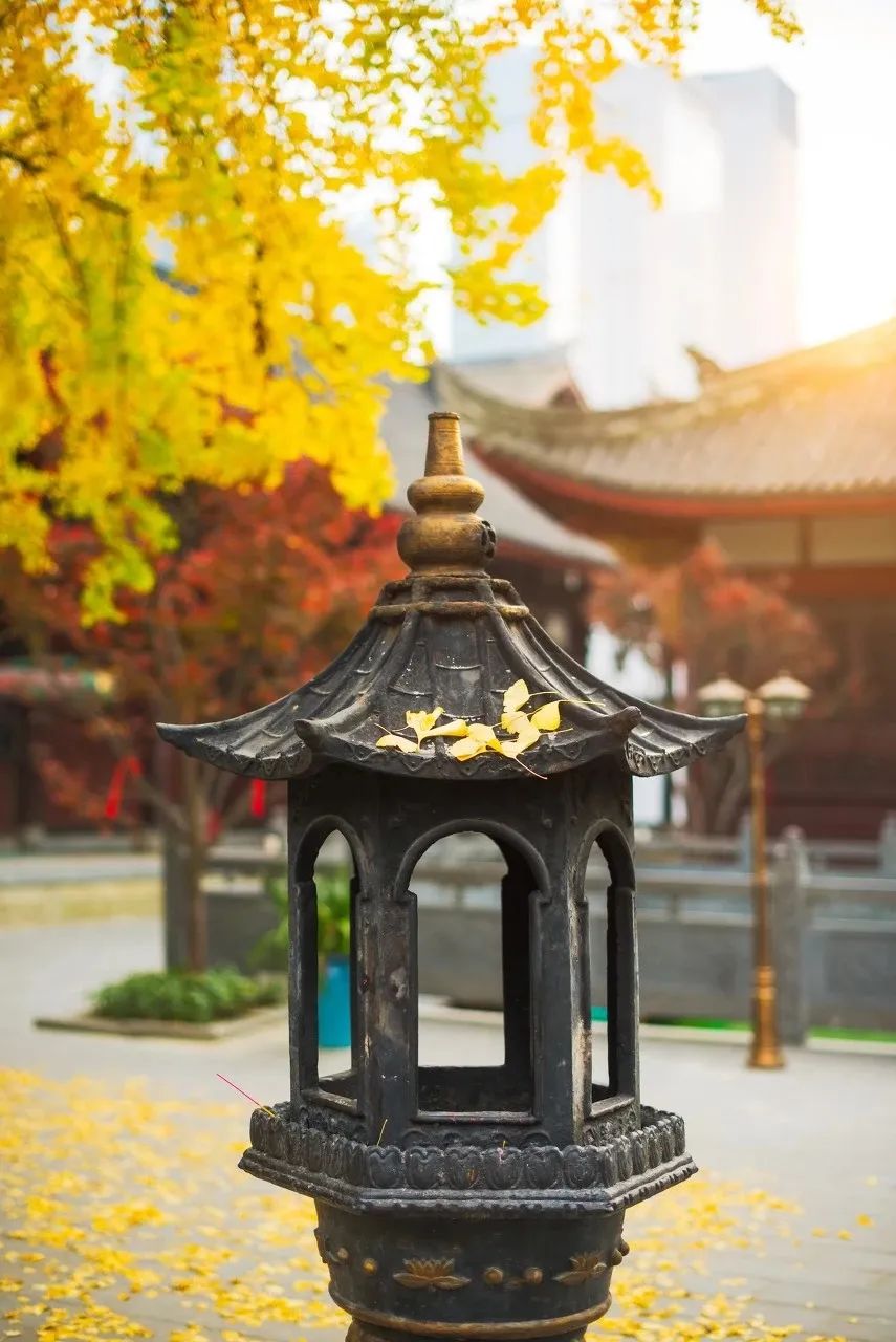 靠着一首歌走红全网视频,靠一首歌火爆全网