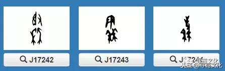 秦汉姓氏,秦汉文字的演变