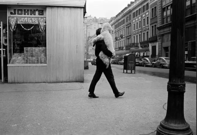 街拍大师作品二区,十大街拍大师