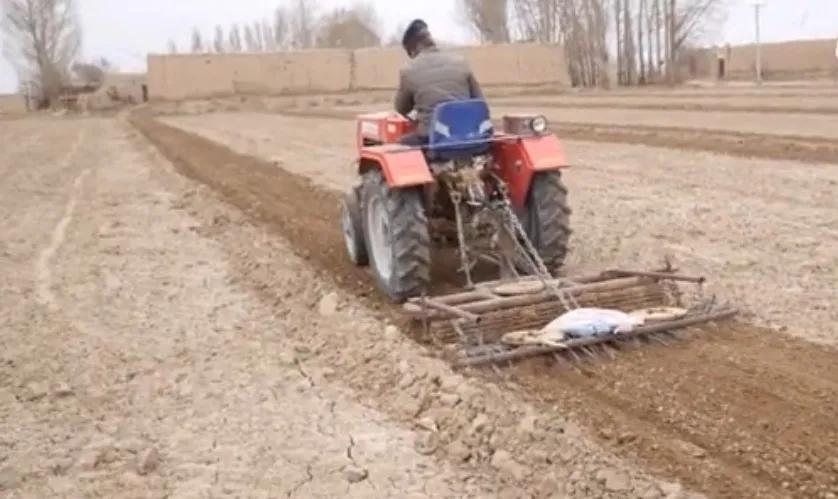 五叔和谦谦最新视频,五叔突然去世