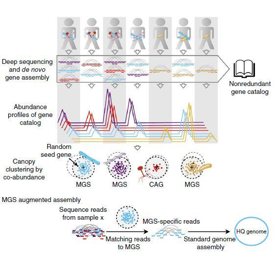 肠道菌群宏基因组,肠道微生物宏基因组检测有必要吗