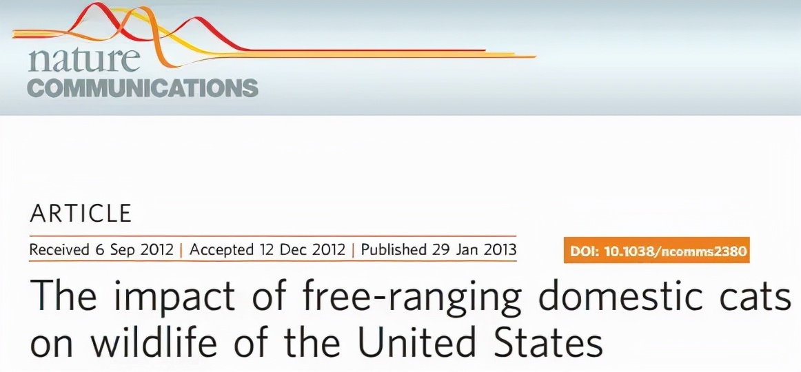 流浪猫的耳朵上为什么会缺了一角,流浪猫的耳朵上为什么会缺一角