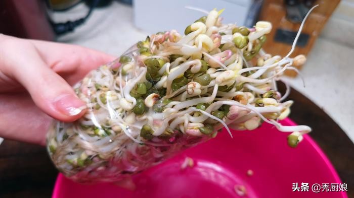 6口之家,23天没出门,在家这样生豆芽,3天就能吃,连菜钱都省了