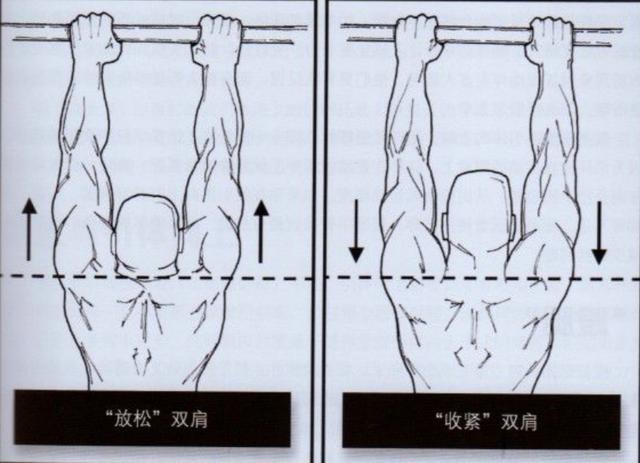 引体向上练肩三角肌的最佳动作,一练肩就酸痛