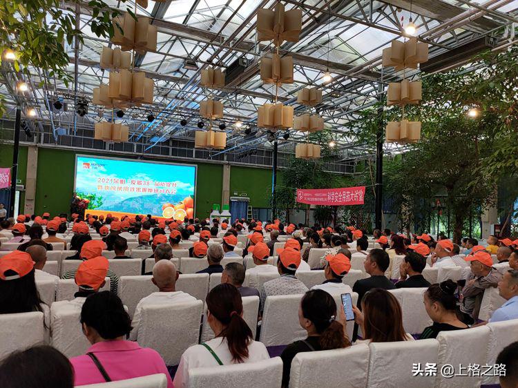 眉山柑橘推介会,眉山柑橘技术