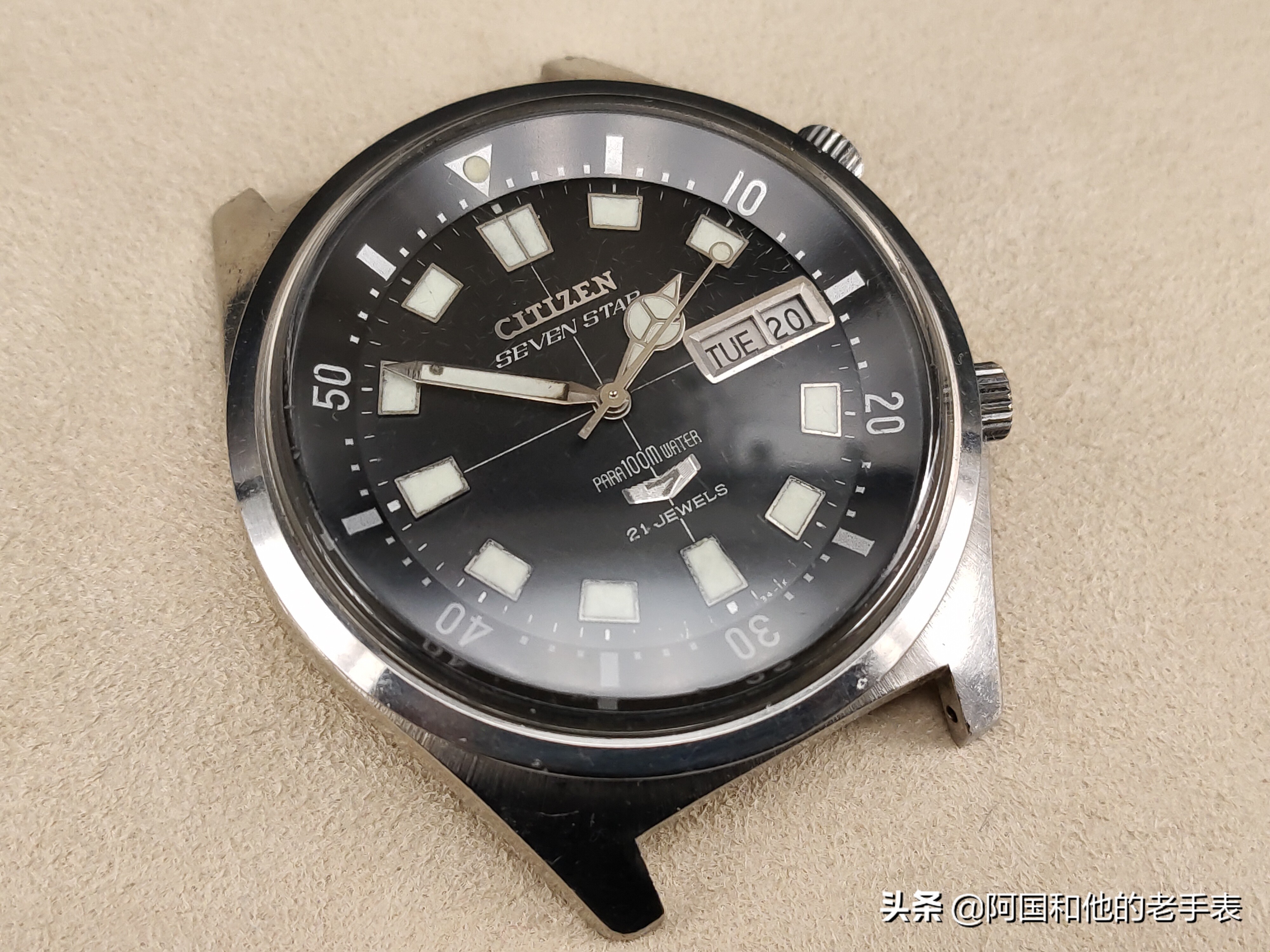 50年后的相见两只西铁城水鬼