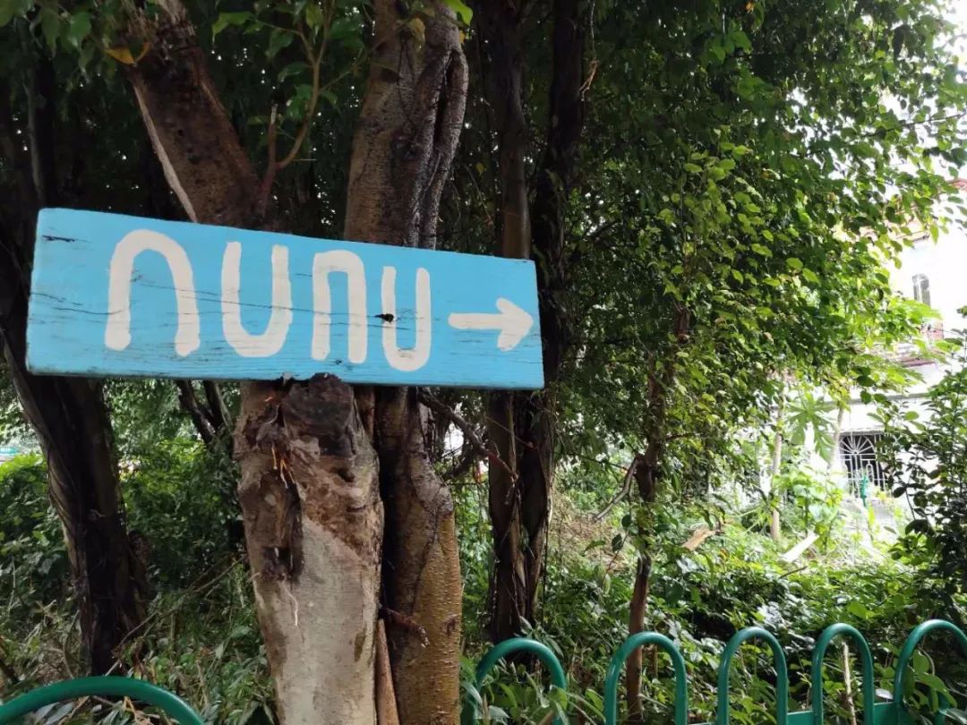 九分钟带您了解鼓浪屿攻略,游玩鼓浪屿攻略路线推荐