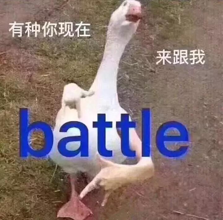Battle|盘它！胆小勿入！