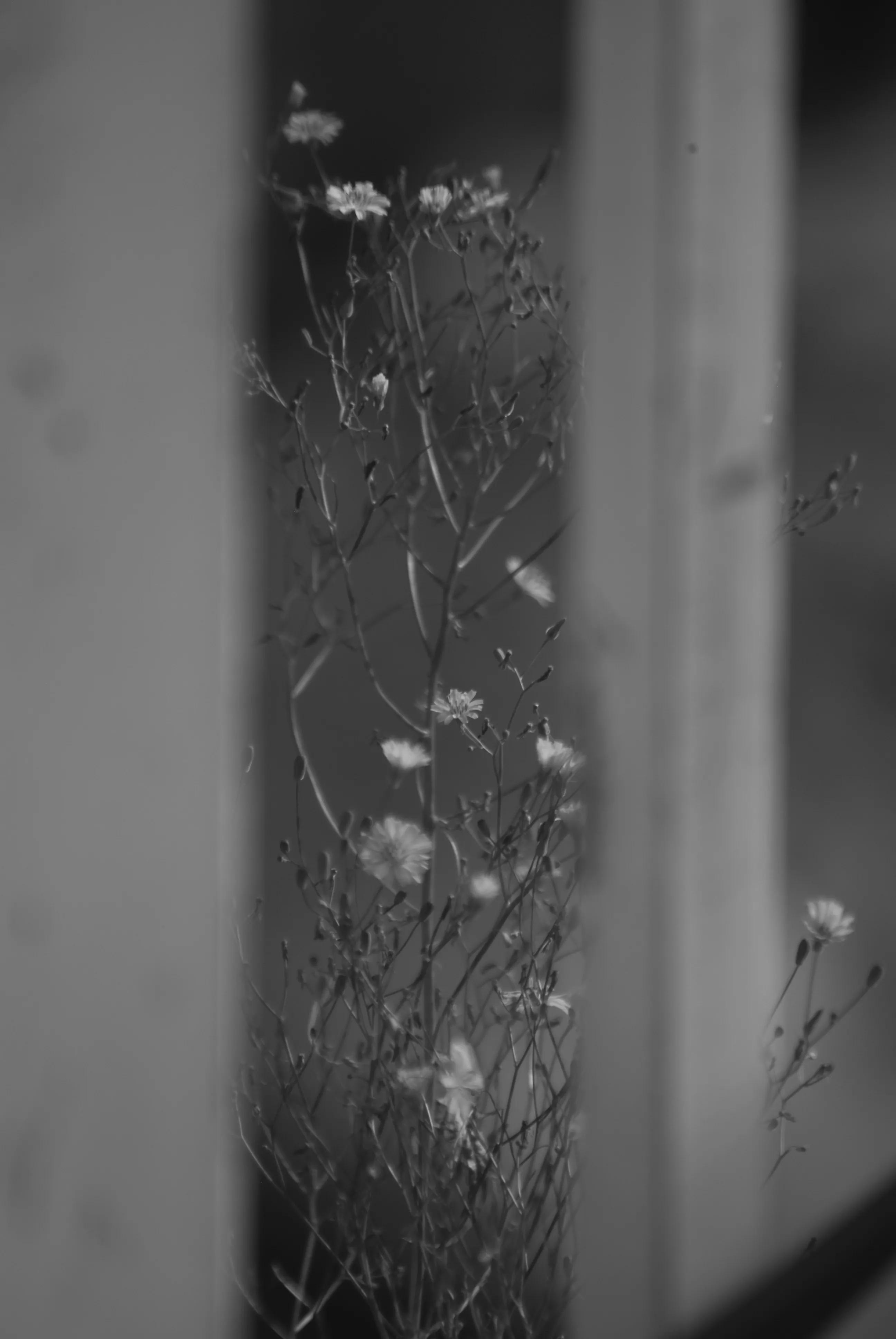 1000元二手全画幅单反相机推荐,2022最建议买的二手单反相机