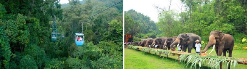 西双版纳原始森林门票,西双版纳所有景点门票一览表