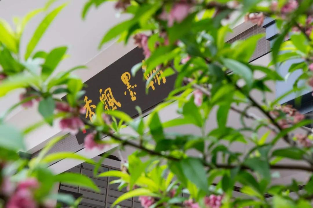 永春县桃溪实验小学三年七班,永春县桃溪实验小学