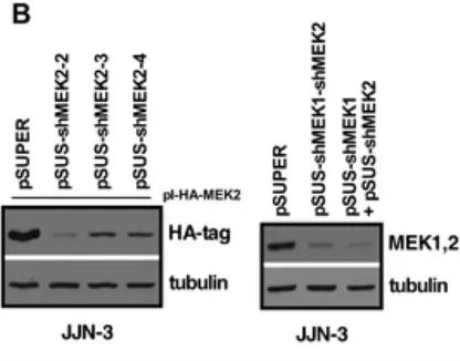 实验总是做不好怎么办,实验难做怎么办