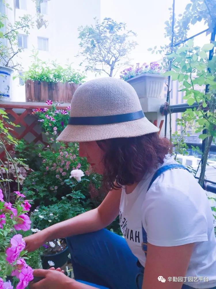 （2021）园丁奖阳台组《008号》星星的花园