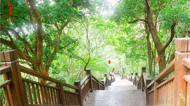 广东省内森林旅游景点,广东森林公园排行榜