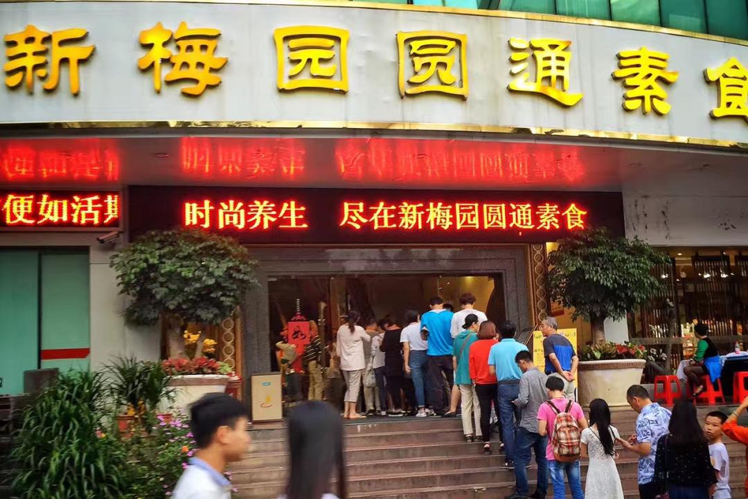 再见了，我的新梅园