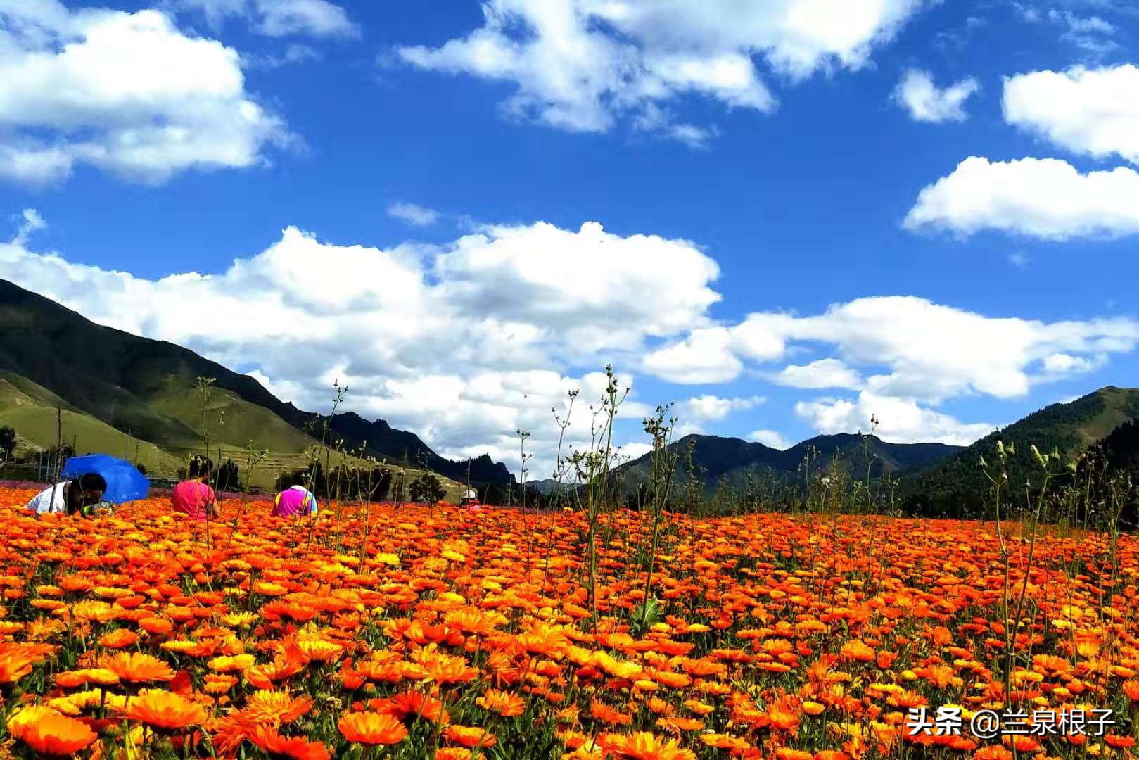 夏河县达尔宗湖景区电话,夏河县达尔宗湖游玩攻略