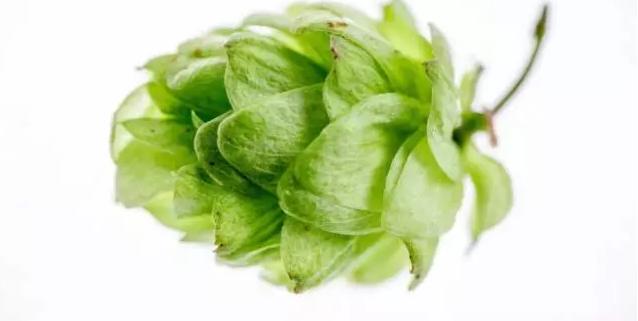 推荐几款低度原浆精酿啤酒 (中国各省精酿啤酒一览表)