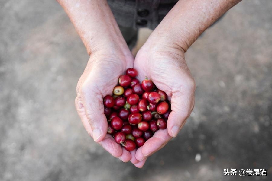 一杯咖啡带来夏日冰爽的快乐,香浓的咖啡希望这个冬天有惊喜