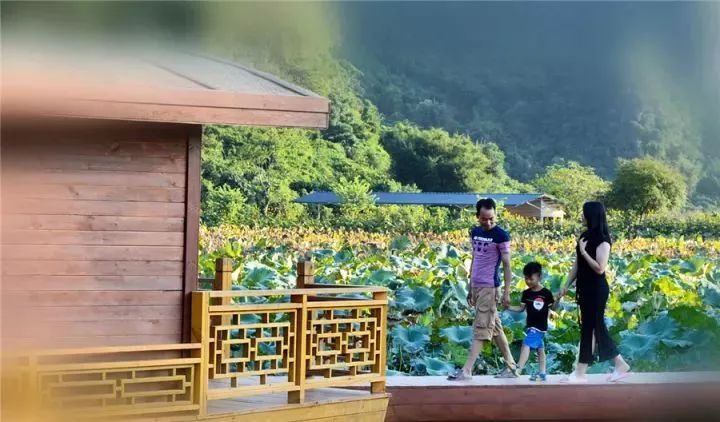 桐庐陶渊明民宿,陶渊明归园田居民宿