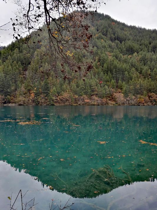 九寨沟一日游感悟,九寨沟和黄龙旅行美景