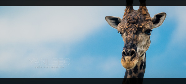 最新玩转泰国攻略,泰国旅游漫游