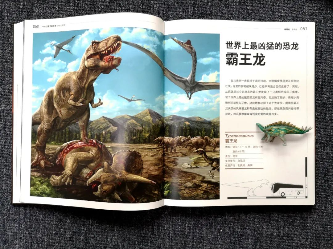 适合孩子看的恐龙科普书,适合5岁孩子看的恐龙科普书