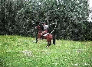 搞怪可爱猪图,搞笑猪脸图片