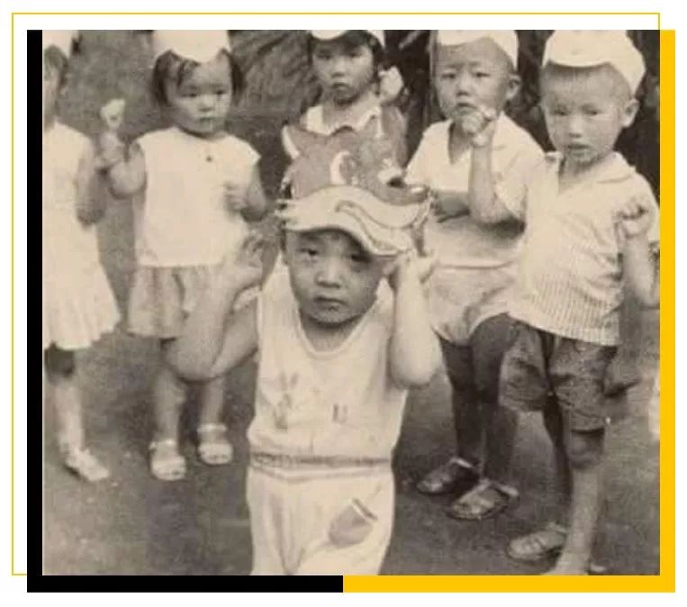 村花撒贝宁：我，43岁，*戏调**马云，芳心纵火犯