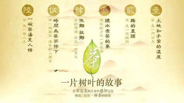 寒假纪录片推荐小学生,寒假适合中学生看的纪录片
