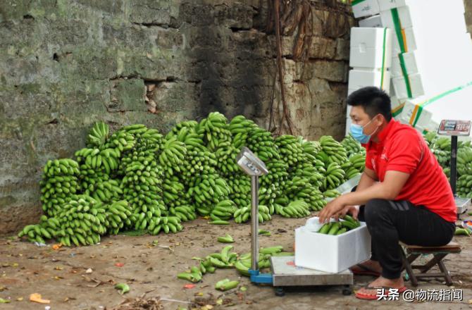 快递创业的项目概况,创业新开店的成功案例