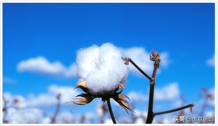 孩子值得拥有一顶童话帐篷，最美的阅读，配最像童话的“地方”