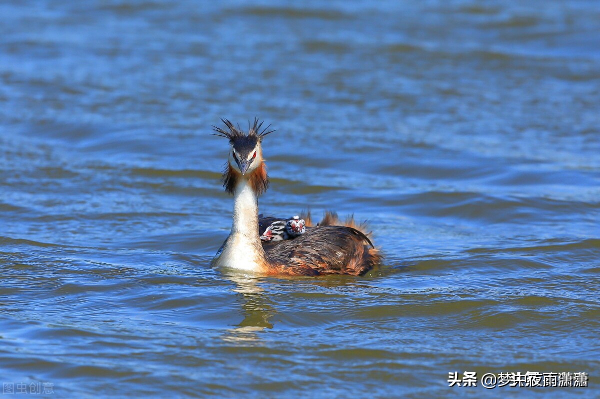 水瓶座顶级浪漫,顶级水瓶座女生