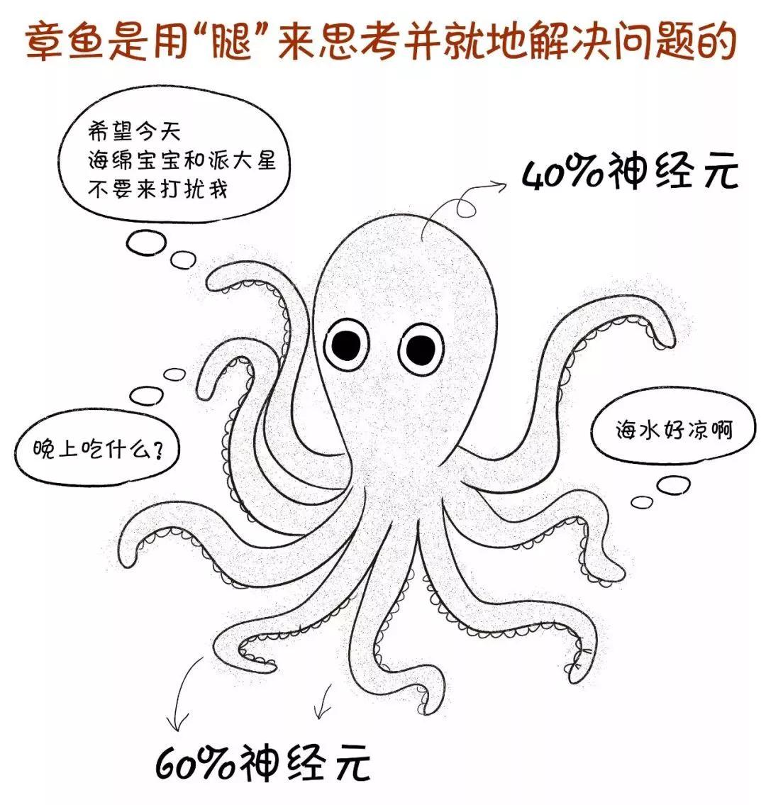 边缘计算是5g技术吗,为什么说边缘计算5g