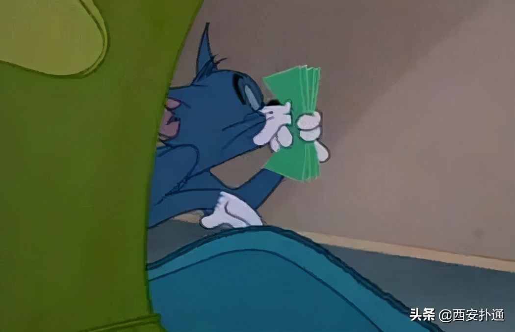 在西安给宠物看病凭什么这么贵