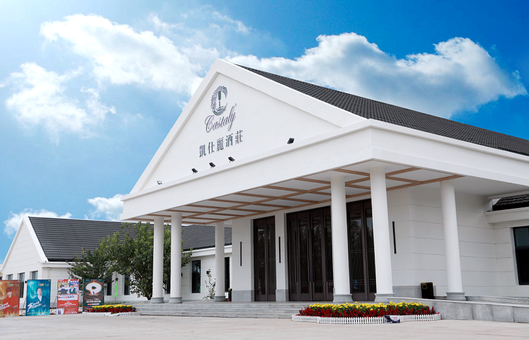 2018值得购买红酒,法国红酒和智利红酒哪个好