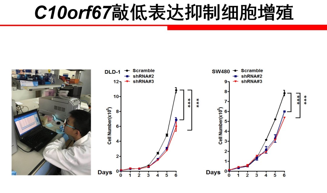中国神童发布震撼癌症论文?小学生作业都敢这么魔幻了吗…