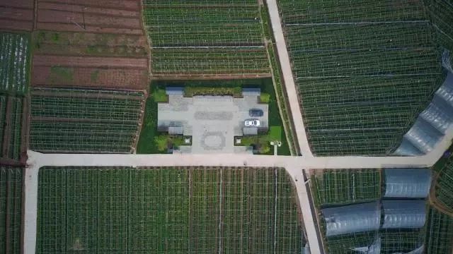 龙泉驿区的发展规划,龙泉驿区庆祝建党100周年活动