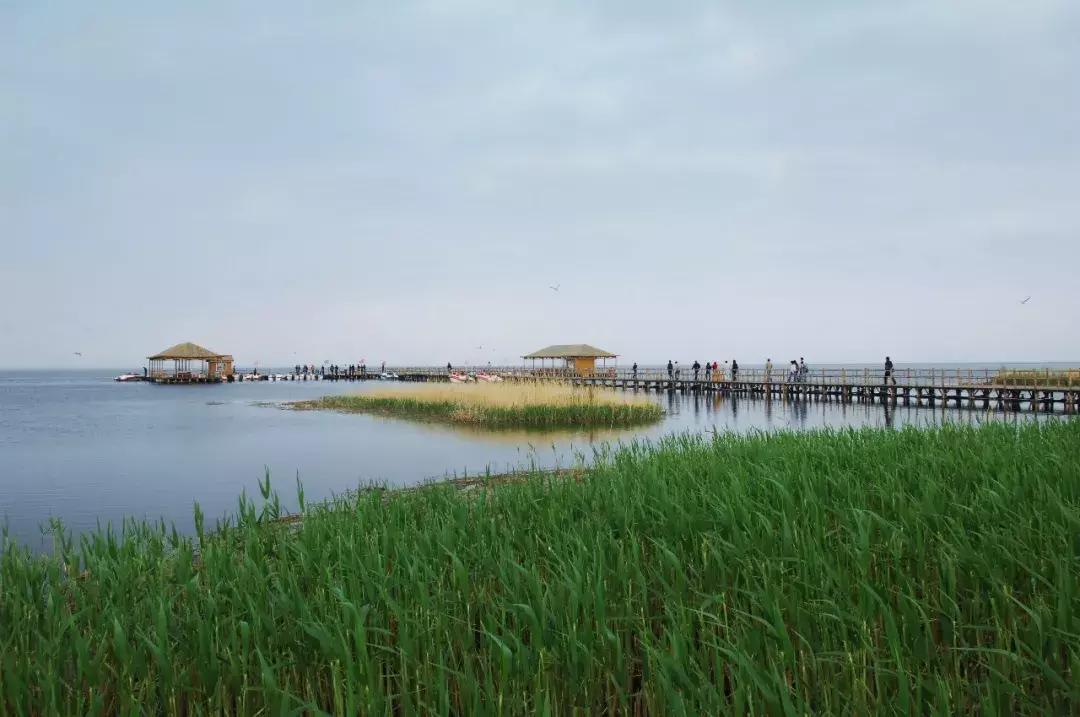 美不美看山水的视频,美不美看河水