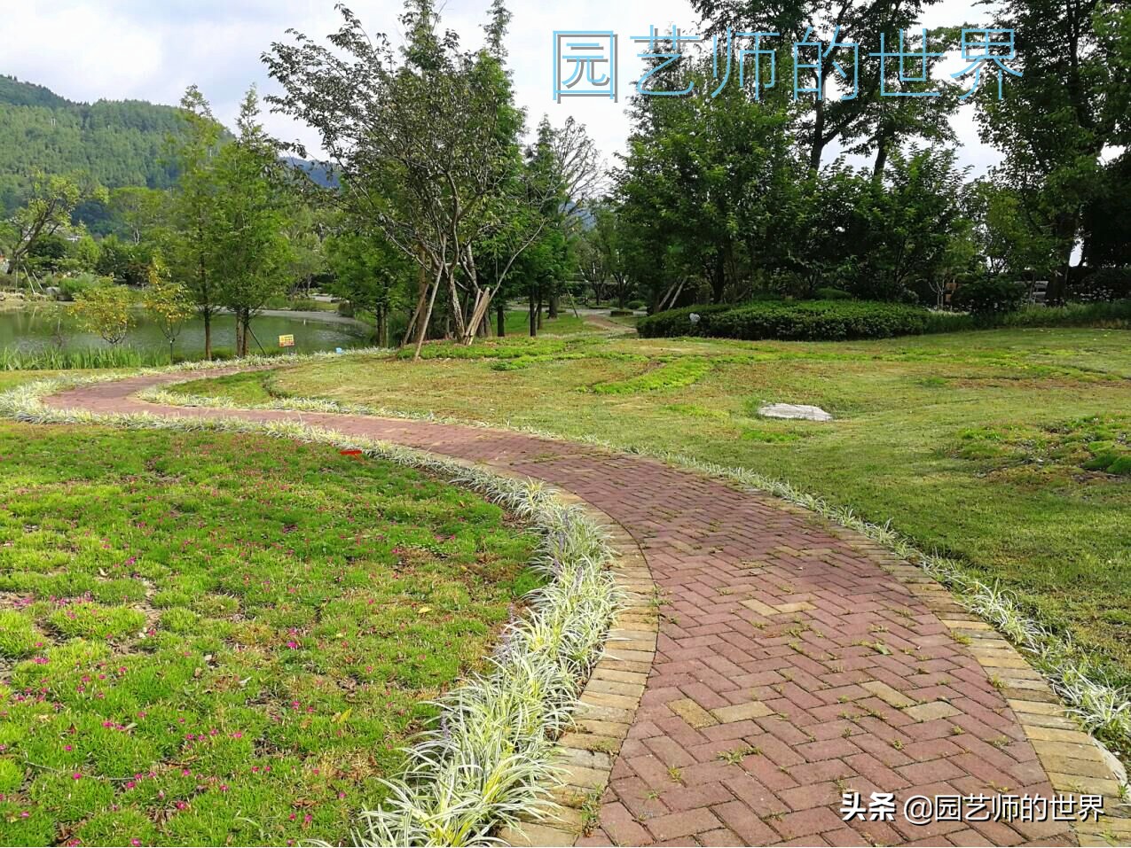 花园科学实验,花园案例及解析