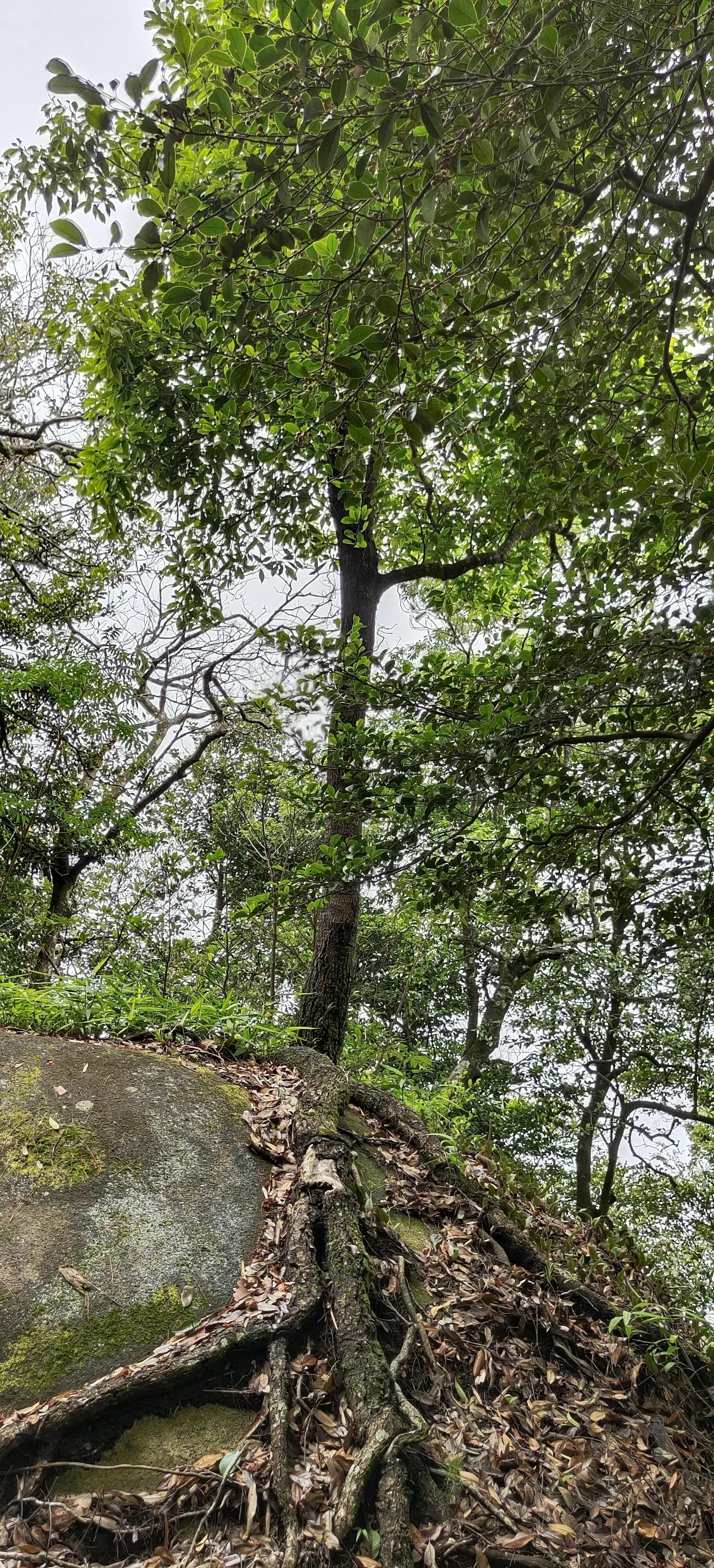 登上绝壁悬崖感受一览众山小,登上泰山之巅的感觉