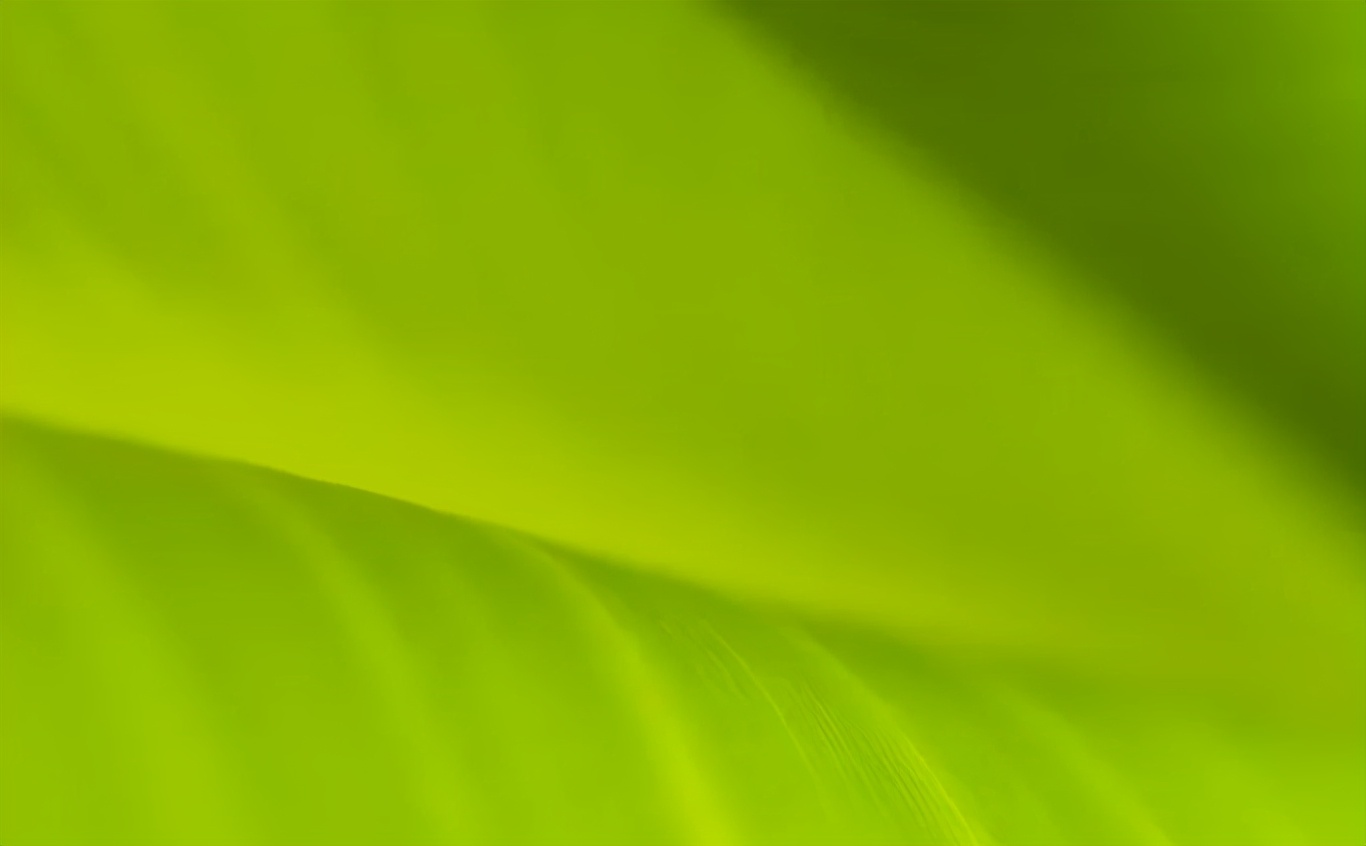 中医能治愈血小板减少吗,中医治疗血友病有效吗知乎