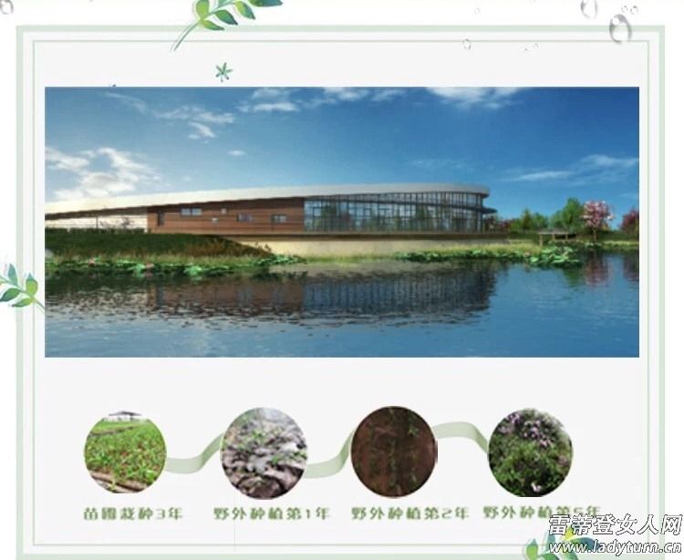 雅姿仙草面膜补水神器,雅姿气色锁水仙草面膜你用了吗