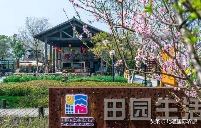 无锡田园东方蜜桃度假村,无锡田园东方蜜桃村怎么样