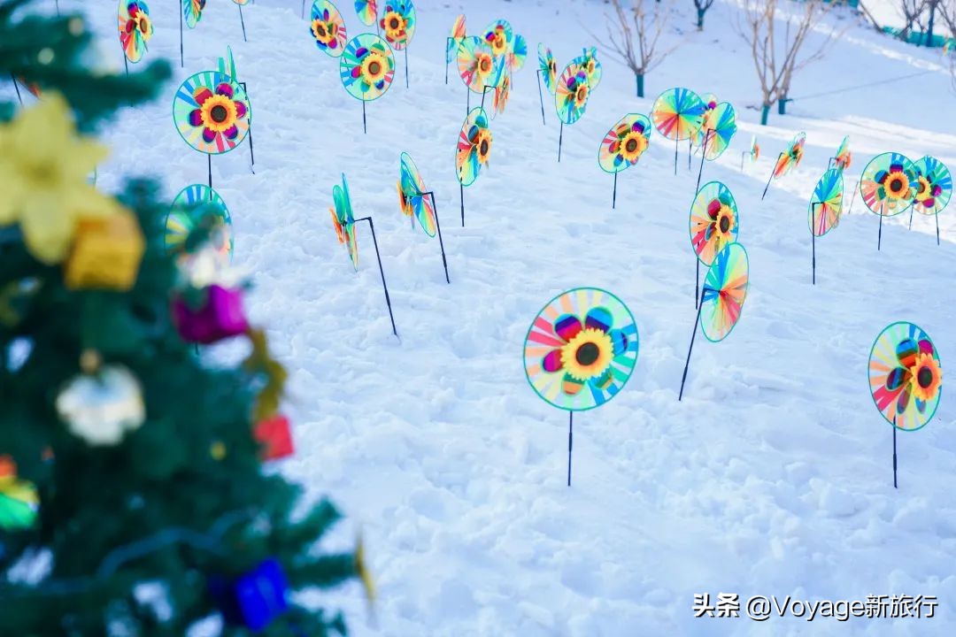 挑战21世纪最低温！我们为你盘点了比“泼水成冰”更美的冬日限定