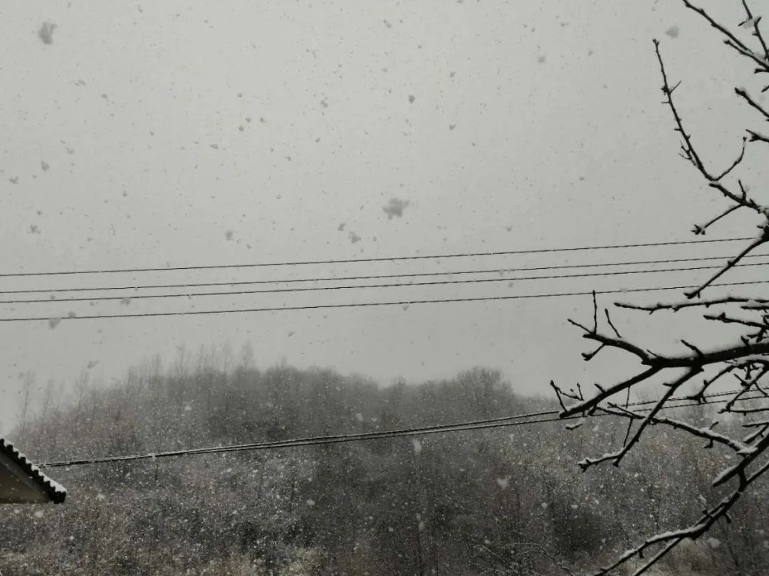 破马张飞骑驴,破马张飞怎么样