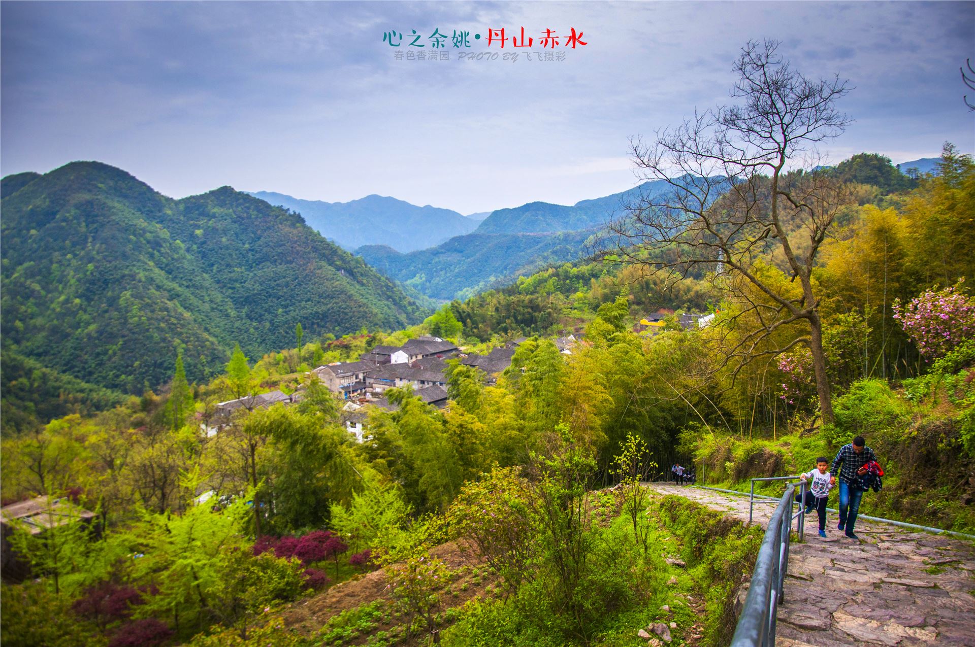 丹山赤水的老柿林景区,丹山赤水柿林古村