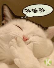 女性也有前列腺？科普这些你不知道的医学知识