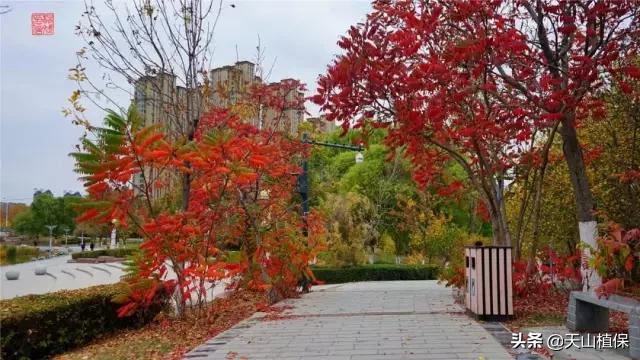 昌吉市最新城市发展规划,乌鲁木齐和昌吉是否相邻