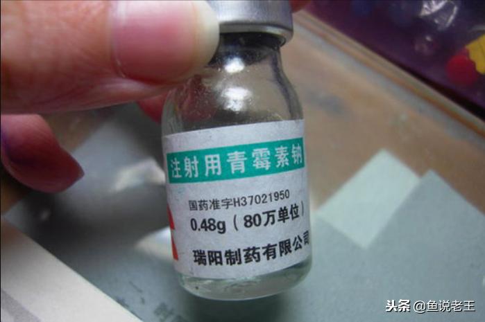 养鱼怎么治疗炸鳞,鱼儿炸鳞病的救治方法