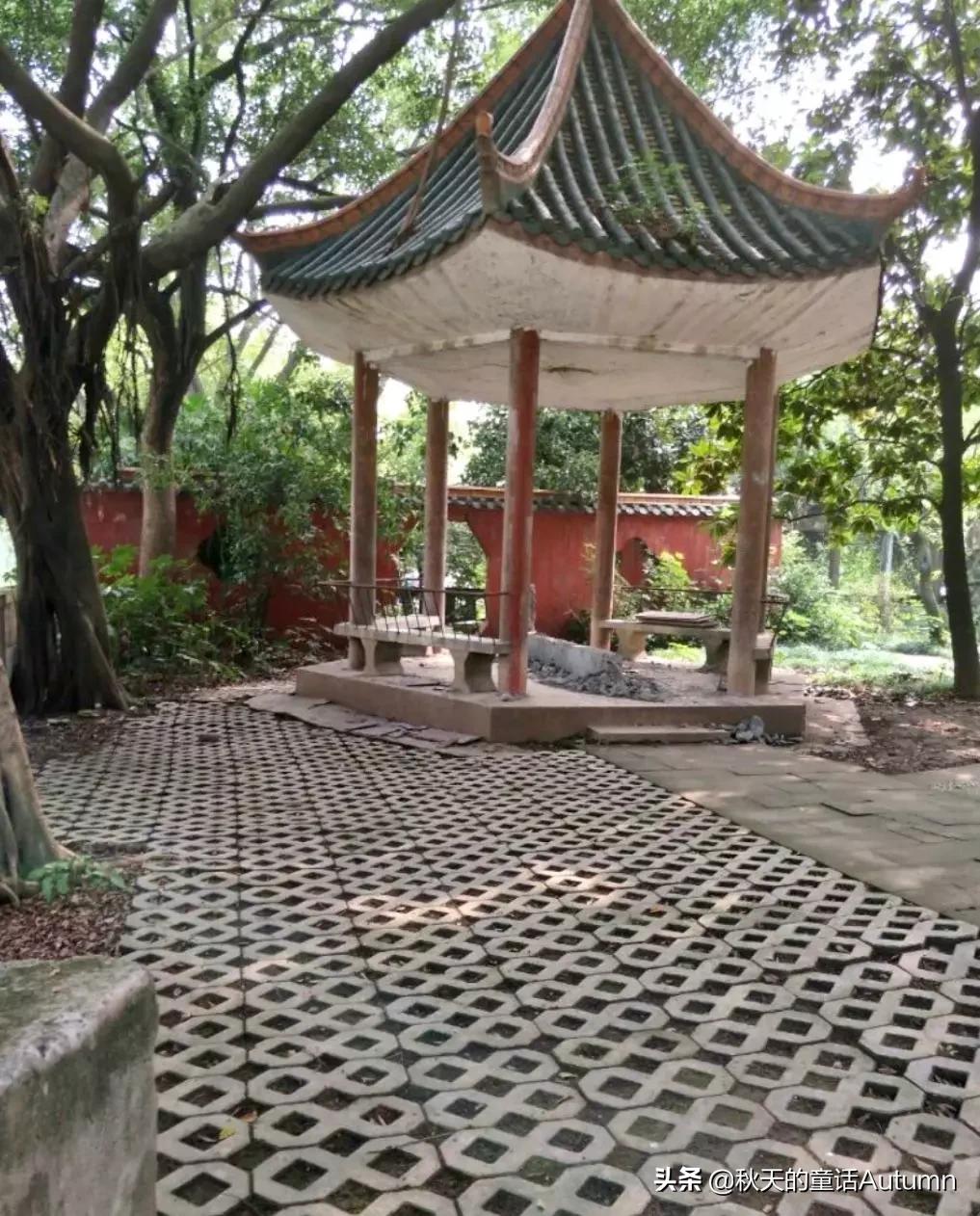 重庆煤校在当年是什么地位,重庆煤校以前怎么样